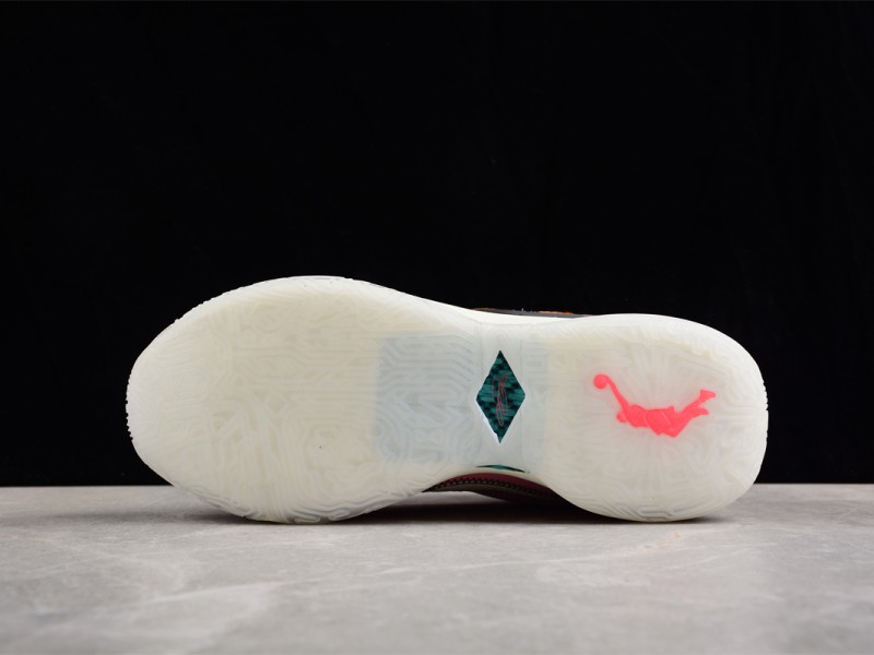 Nike LeBron 20 South Beast - Modo Zapatillas | zapatillas en descuento