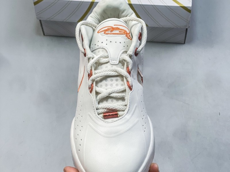NIKE LEBRON 21 || Nike LeBron 21 Akoya - Modo Zapatillas | zapatillas en descuento