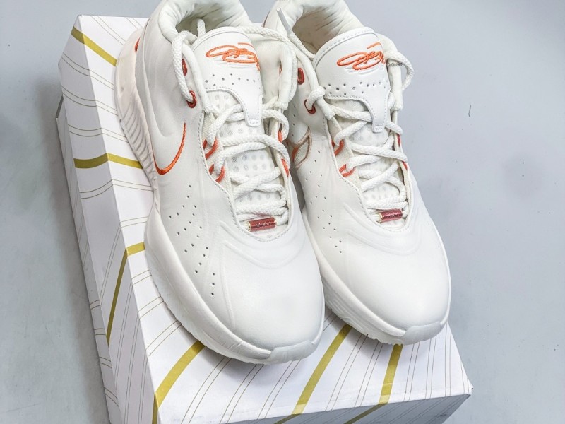 NIKE LEBRON 21 || Nike LeBron 21 Akoya - Modo Zapatillas | zapatillas en descuento