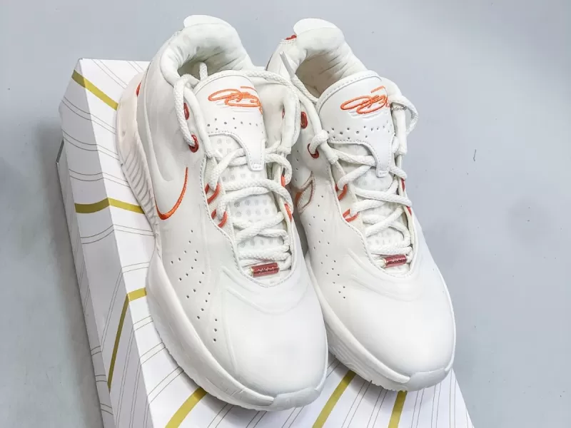 NIKE LEBRON 21 || Nike LeBron 21 Akoya - Modo Zapatillas | zapatillas en descuento
