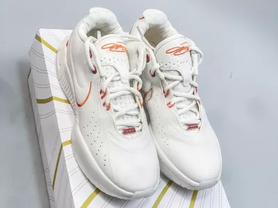 NIKE LEBRON 21 || Nike LeBron 21 Akoya